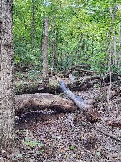 Williamsburg to Batavia Hike-Bike Trail - Zagar Rd. Parking Lot - Batavia, OH