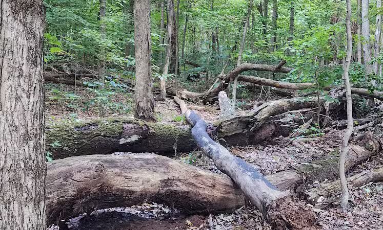 Williamsburg to Batavia Hike-Bike Trail - Zagar Rd. Parking Lot - Batavia, OH