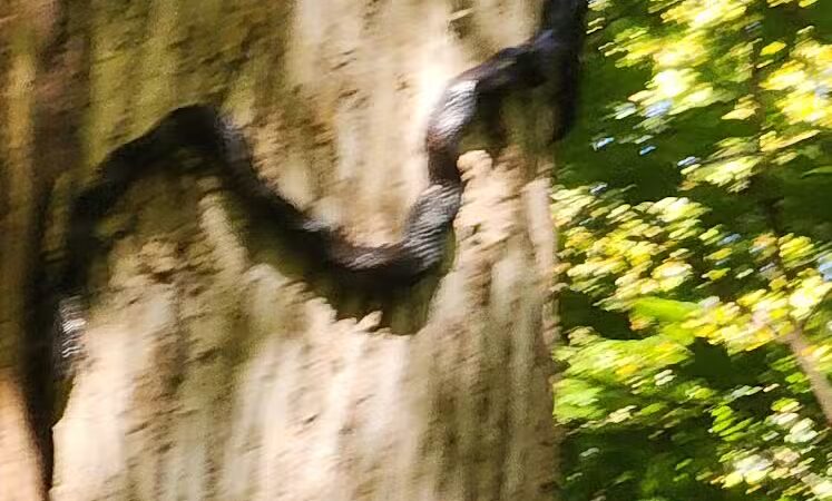 Williamsburg to Batavia Hike-Bike Trail - Zagar Rd. Parking Lot - Batavia, OH