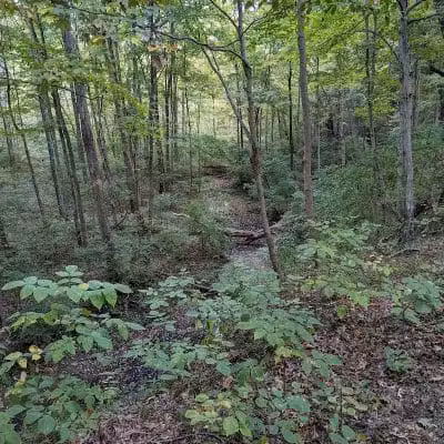 Williamsburg to Batavia Hike-Bike Trail - Zagar Rd. Parking Lot - Batavia, OH