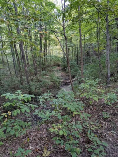 Williamsburg to Batavia Hike-Bike Trail - Zagar Rd. Parking Lot - Batavia, OH