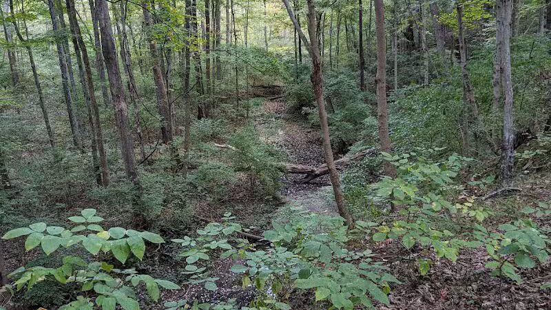 Williamsburg to Batavia Hike-Bike Trail - Zagar Rd. Parking Lot - Batavia, OH