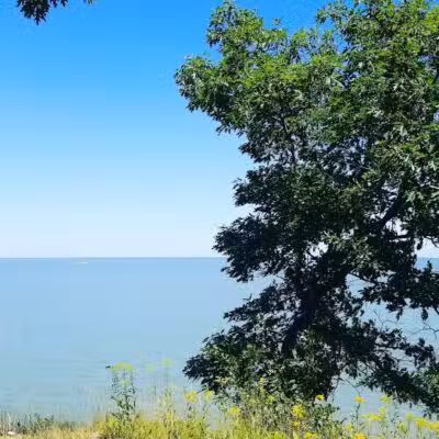 Bay Village Parks & Recreation - Bay Village, OH