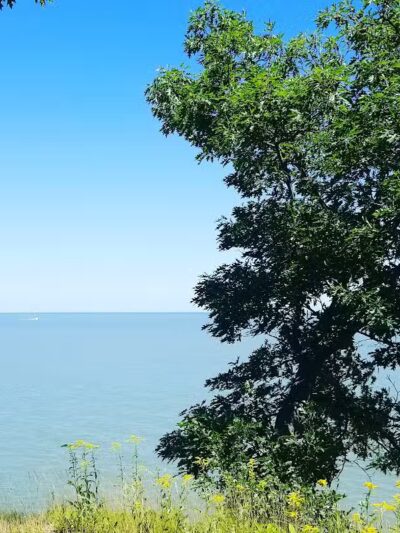 Bay Village Parks & Recreation - Bay Village, OH