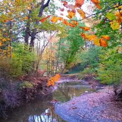Reese Park - Bay Village, OH