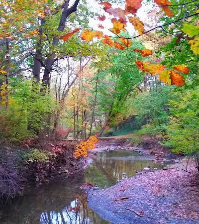 Reese Park - Bay Village, OH