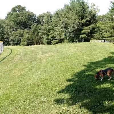 Reese Park - Bay Village, OH