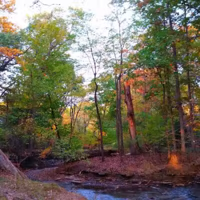 Reese Park - Bay Village, OH