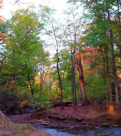 Reese Park - Bay Village, OH