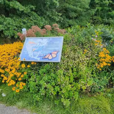 Walker Road Park - Bay Village, OH