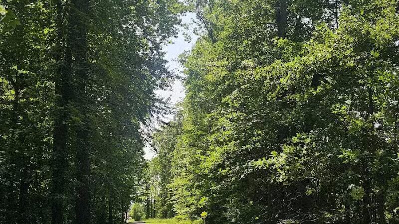 Walker Road Park - Bay Village, OH