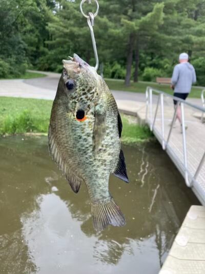 Walker Road Park - Bay Village, OH