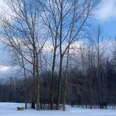 Walker Road Park - Bay Village, OH