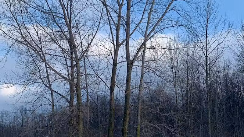 Walker Road Park - Bay Village, OH