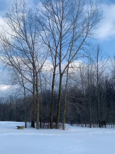 Walker Road Park - Bay Village, OH