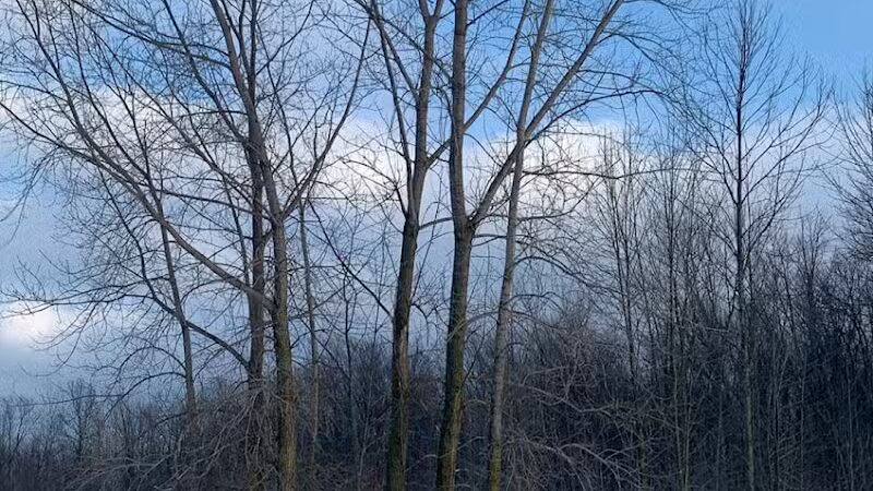 Walker Road Park - Bay Village, OH