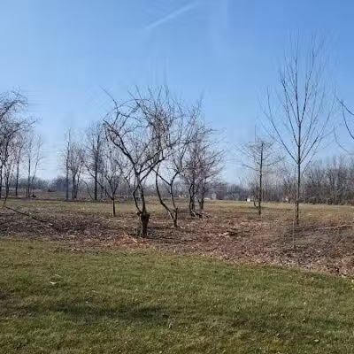Walker Road Park - Bay Village, OH
