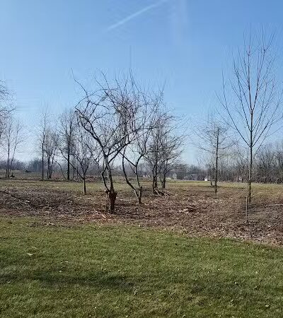 Walker Road Park - Bay Village, OH