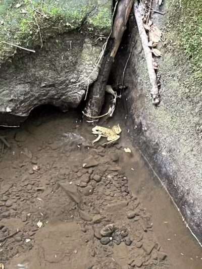 Dundee Falls Trail Head A - Beach City, OH