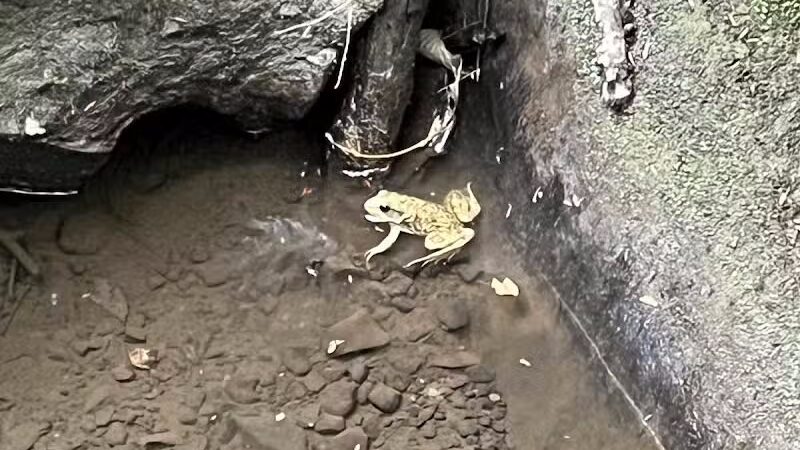 Dundee Falls Trail Head A - Beach City, OH