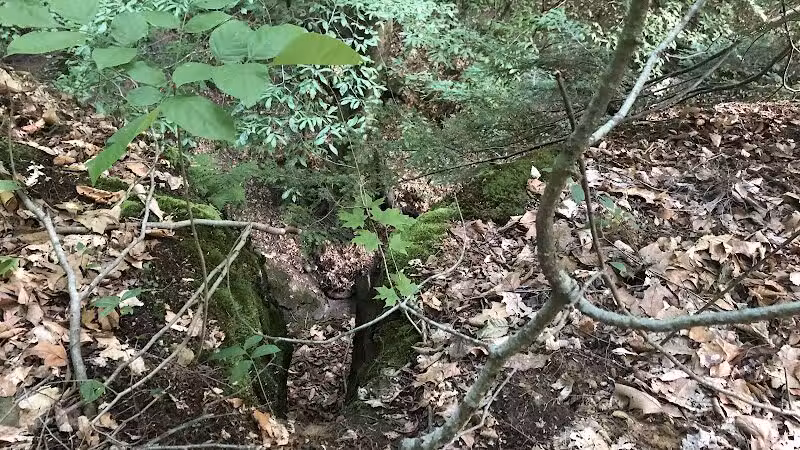 Dundee Falls Trail Head A - Beach City, OH