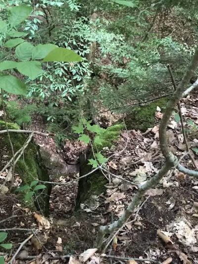 Dundee Falls Trail Head A - Beach City, OH