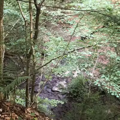 Dundee Falls Trail Head A - Beach City, OH