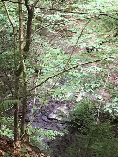 Dundee Falls Trail Head A - Beach City, OH