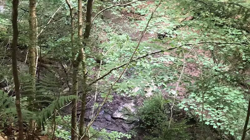 Dundee Falls Trail Head A - Beach City, OH