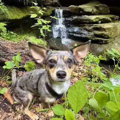 Dundee Falls Trail Head A - Beach City, OH