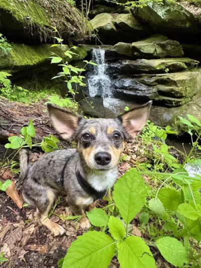 Dundee Falls Trail Head A - Beach City, OH