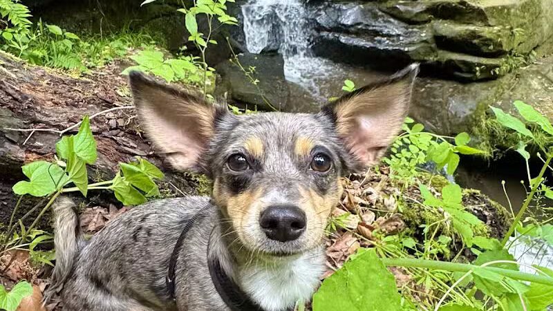 Dundee Falls Trail Head A - Beach City, OH