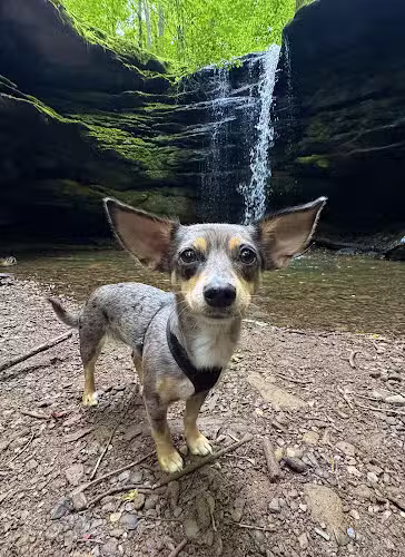 Dundee Falls Trail Head A - Beach City, OH