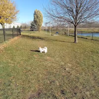 Beaver Dam Small Dog Park - Beaver Dam, WI