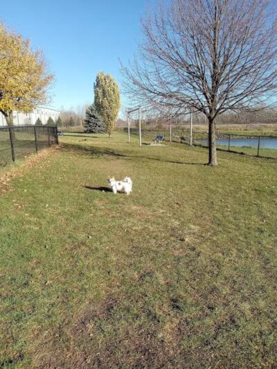 Beaver Dam Small Dog Park - Beaver Dam, WI