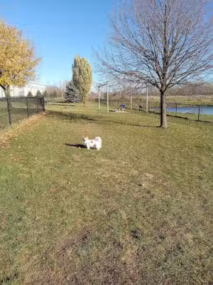 Beaver Dam Small Dog Park - Beaver Dam, WI