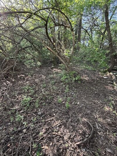 Grangeview Acres Park - Beavercreek, OH