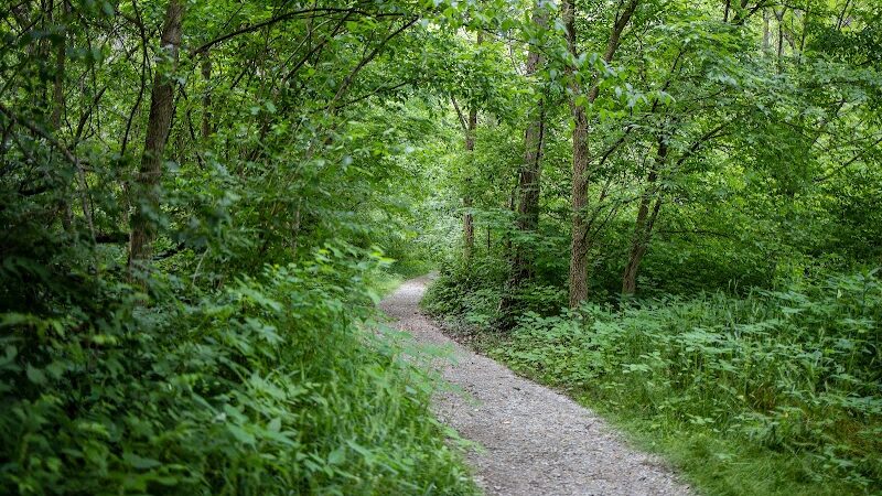 Phillips Park - Beavercreek, OH