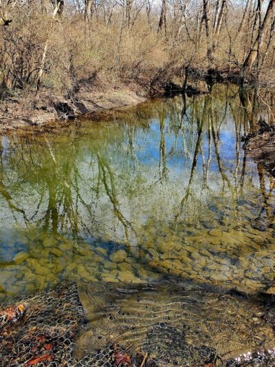 Phillips Park - Beavercreek, OH