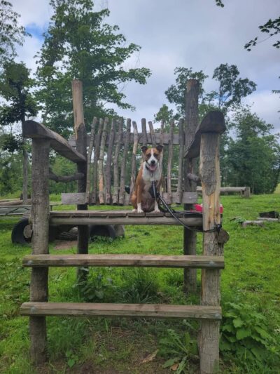Russ Nature Reserve - Beavercreek, OH