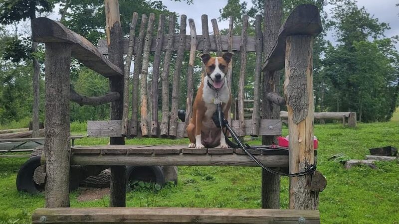 Russ Nature Reserve - Beavercreek, OH