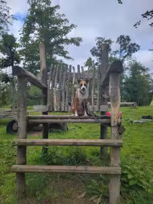 Russ Nature Reserve - Beavercreek, OH