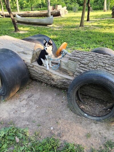 Russ Nature Reserve - Beavercreek, OH
