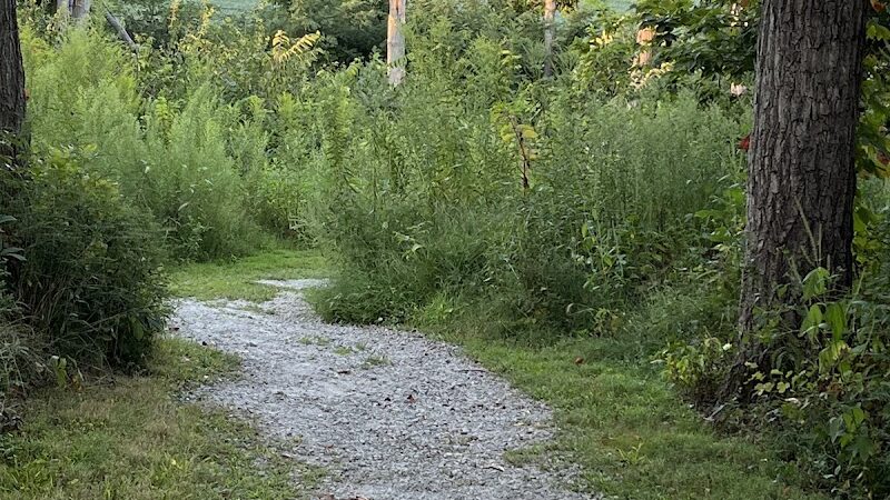 Russ Nature Reserve - Beavercreek, OH