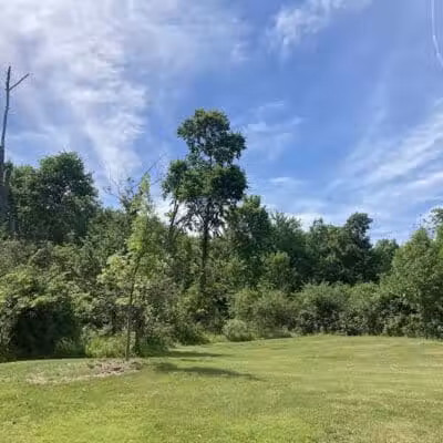 Forbes Woods Picnic Area - Bedford Heights, OH