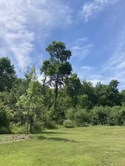 Forbes Woods Picnic Area - Bedford Heights, OH
