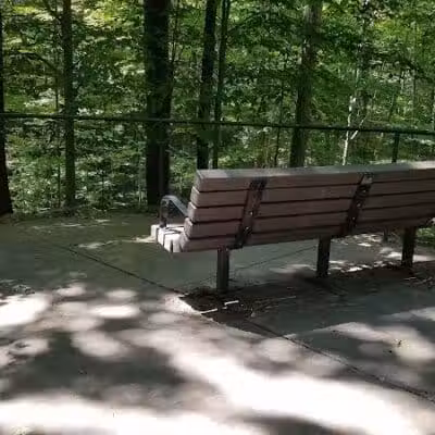 Forbes Woods Picnic Area - Bedford Heights, OH
