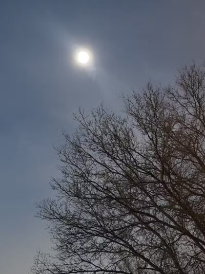Archibald Willard Park - Bedford, OH