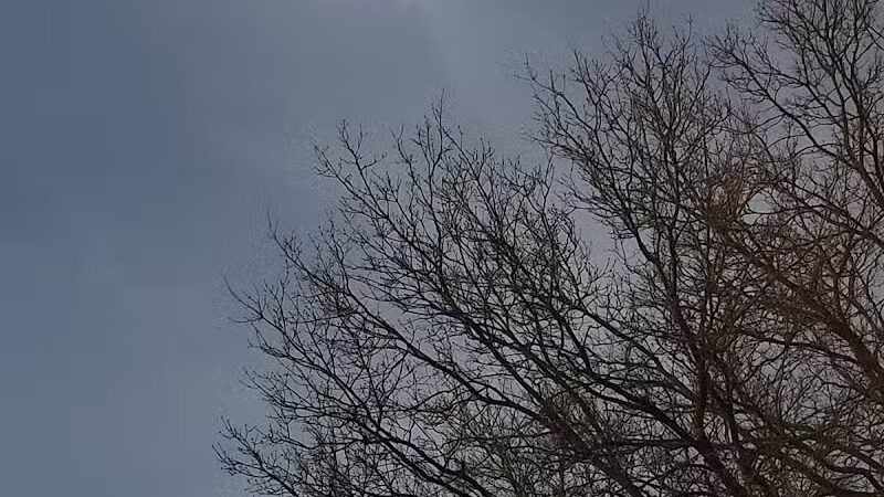 Archibald Willard Park - Bedford, OH