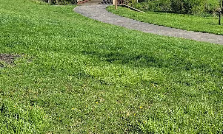 Bedford Parks and Recreation Department - Bedford, OH